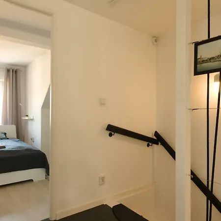 Stella سفينويتشي